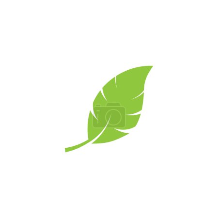 Téléchargez les photos : Logos de vert Feuille d'arbre écologie élément nature vecteur - en image libre de droit