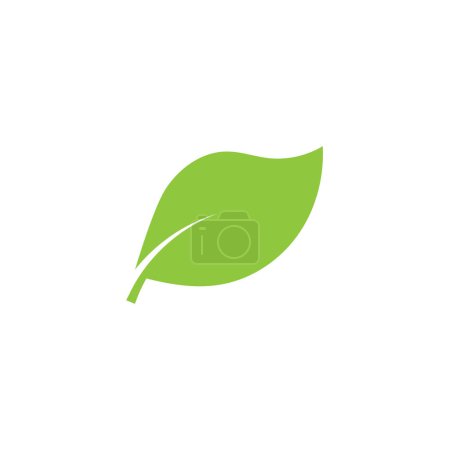 Foto de Logos de verde Árbol hoja ecología naturaleza elemento vector - Imagen libre de derechos