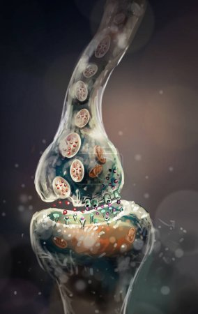 Digitale Illustration der Sinapsis der Gehirnzellen