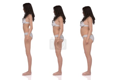 Téléchargez les photos : 3D Render : Vue latérale du corps féminin debout illustration : ectomorphe (type maigre), mésomorphe (type musculaire), endomorphe (type lourd)) - en image libre de droit