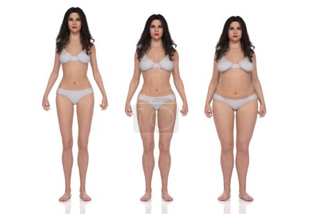 Téléchargez les photos : 3D Render : Vue de face du corps féminin debout illustration : ectomorphe (type maigre), mésomorphe (type musculaire), endomorphe (type lourd)) - en image libre de droit