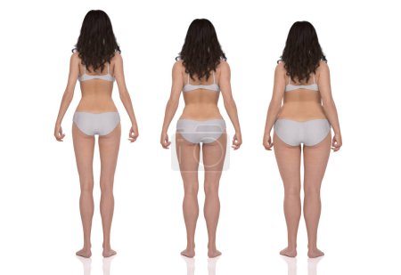 Téléchargez les photos : 3D Render : Vue arrière du corps féminin debout illustration de type : ectomorphe (type maigre), mésomorphe (type musculaire), endomorphe (type lourd)) - en image libre de droit