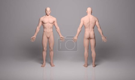 Foto de 3D Render: una ilustración de cuerpo masculino de pie con pantalla de textura de cuerpo de silicona, - Imagen libre de derechos