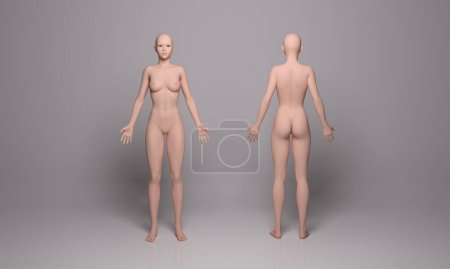 Foto de 3D Render: una ilustración de cuerpo femenino de pie con pantalla de textura de cuerpo de silicona, - Imagen libre de derechos