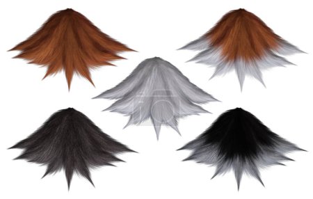 3D Render : set of different colors of nine Fox tails for anime graphic resource included clipping path, back view