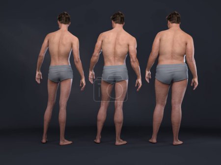 Téléchargez les photos : 3D Render : la diversité de la forme du corps masculin, y compris l'ectomorphe (type maigre), le mésomorphe (type musculaire), l'endomorphe (type lourd), vue de dos - en image libre de droit