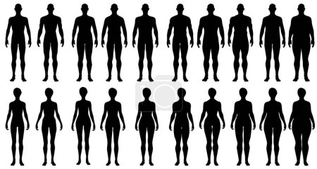 Illustration for Collection of  silhouette male and female body type with different body shape, skinny, muscular and plus size for graphic resource , isolated vector - Royalty Free Image