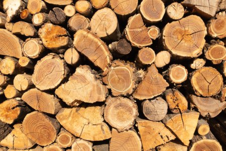 Photo for Logs of firewood arranged in steres for background. - Royalty Free Image