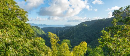 Photo for Jardins de la Balata in Fort-De-France, Martinique. Exotic gardens of the French West Indies. - Royalty Free Image