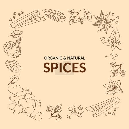 Illustration for Illustration of different spices. Line art. Vector. - Royalty Free Image
