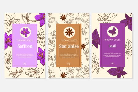 Illustration for Vector set with packkaging template. Spices and herbs. Perfect for use to create culinary projects, branding, logo, menus, packaging - Royalty Free Image