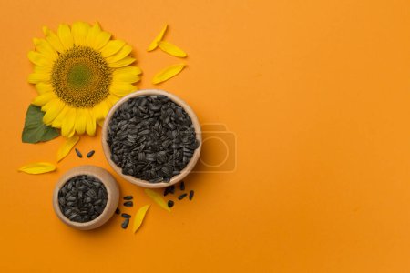 Foto de Sunflower seeds and flowers on color background, top view. - Imagen libre de derechos