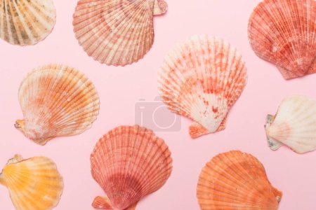 Foto de Conchas de mar sobre fondo de color, vista superior - Imagen libre de derechos