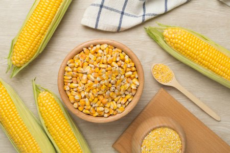 Corn groats and seeds with fresh cobs on wooden background, top view