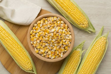 Dry corn with fresh cobs on wooden background, top view