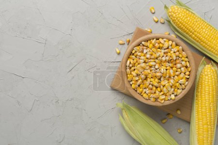 Dry corn with fresh cobs on concrete background, top view