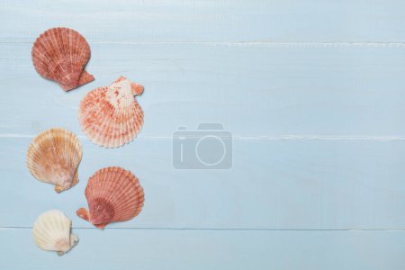 Foto de Conchas de mar sobre fondo de madera, vista superior - Imagen libre de derechos