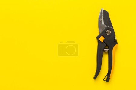 Secateurs on color background, top, view