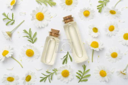 Foto de Botella con aceite esencial de manzanilla y flores sobre fondo blanco, vista superior - Imagen libre de derechos
