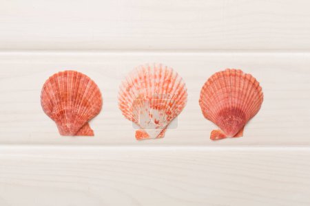 Foto de Conchas de mar sobre fondo de madera, vista superior - Imagen libre de derechos