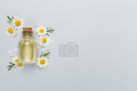 Foto de Botella con aceite esencial de manzanilla y flores sobre fondo de color, vista superior - Imagen libre de derechos