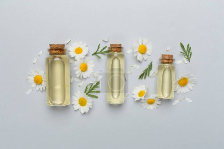 Foto de Botellas con aceite esencial de manzanilla y flores sobre fondo de color, vista superior - Imagen libre de derechos