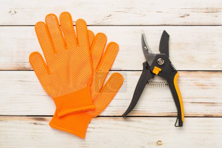 Secateurs and gloves on wooden background, top, view