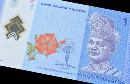 Téléchargez les photos : Avers d'un billet de banque Ringgit imprimé par la Malaisie, qui montre Bunga raya à cinq pétales (Hibiscus Rosa-Sinensis) - la fleur nationale de Malaisie et portrait du roi Tuanku Abdul Rahman - en image libre de droit