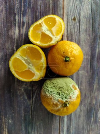 Téléchargez les photos : Moldy citrus against the background of quality tangerines on a wooden table. View from above - en image libre de droit