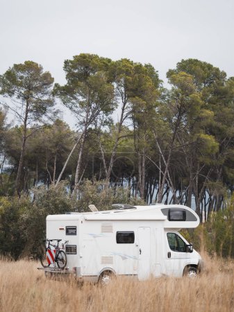 Téléchargez les photos : Camping-car blanc garé dans la forêt - en image libre de droit