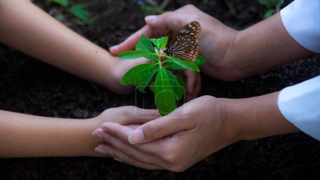 Foto de Hands Team trabaja protegiendo el árbol arbolado que crece y siembra en la tierra para reducir el calentamiento global de la tierra, vista superior. Agricultura Ecología Concepto - Imagen libre de derechos