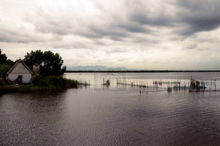 Photo for Beautiful landscape of the Albufera on a cloudy day - Royalty Free Image
