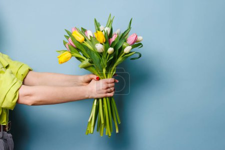 woman's hand with a bouquet of tulip flowers on a clean blue background