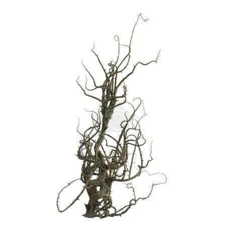 Photo for 3d render briar isolated thorns - Royalty Free Image