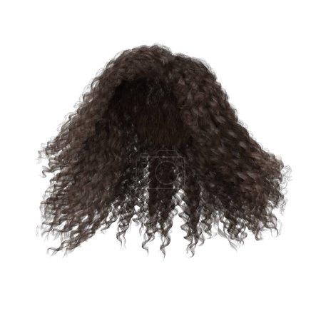 Foto de 3d rendering curly brown hair isolated - Imagen libre de derechos