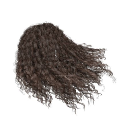 3d rendering curly brown hair isolated