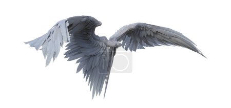 Foto de 3d representación fantasía blanco ángel alas aisladas - Imagen libre de derechos