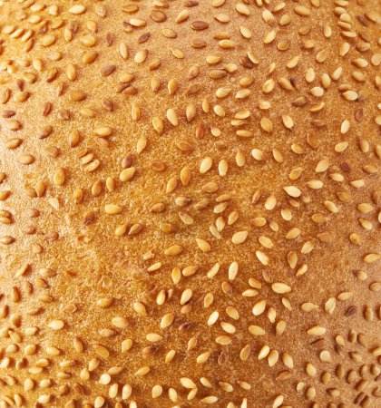 Téléchargez les photos : Sesame seed hamburger bun close-up,  texture - en image libre de droit