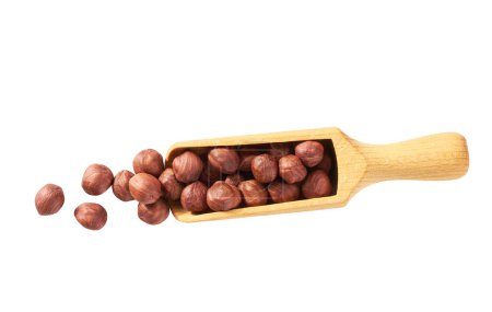 Photo for Pile of cracked and shelled hazelnut kernels in wooden scoop on white background. Top view. - Royalty Free Image