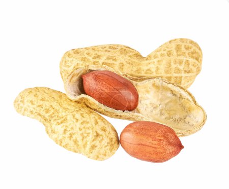 Photo for Useful peanut, close-up, isolated on white background. - Royalty Free Image