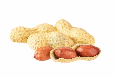 Useful peanut, close-up, isolated on white background.