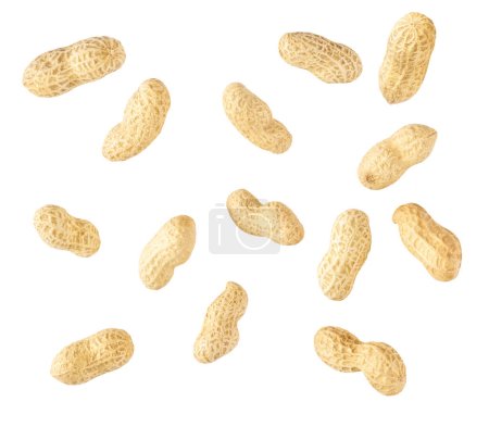 Photo for Peanuts beans in shell isolated on white background.  different shapes shelled peanuts  isolated on white background. - Royalty Free Image