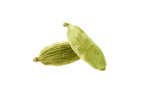 Téléchargez les photos : Gousses de cardamome verte isolées sur fond blanc
. - en image libre de droit