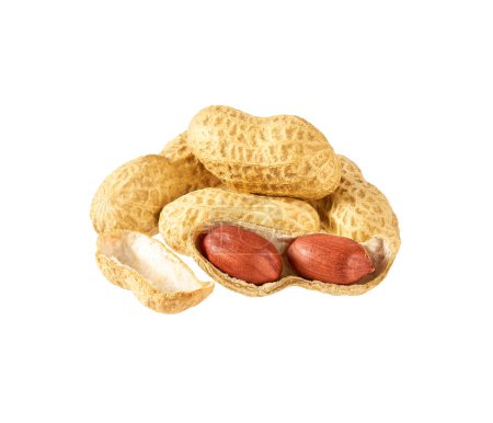 Foto de Peanut beans, close-up, isolated on white background. - Imagen libre de derechos