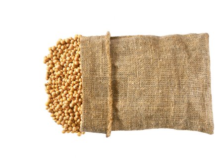 Foto de Soybeans in sack isolated on white background top view. soybeans in sack bag top view.Sack with soybeans top view. soybeans in burlap bag and heap of soybeans. - Imagen libre de derechos