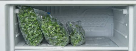 Foto de Bolsa de plástico con judías verdes congeladas cortadas para su almacenamiento a largo plazo en nevera. - Imagen libre de derechos