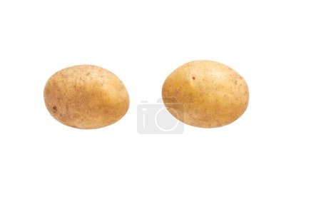 Téléchargez les photos : Pommes de terre crues biologiques isolées sur fond blanc, vue de dessus. tubercule de pomme de terre isolé sur fond blanc. - en image libre de droit
