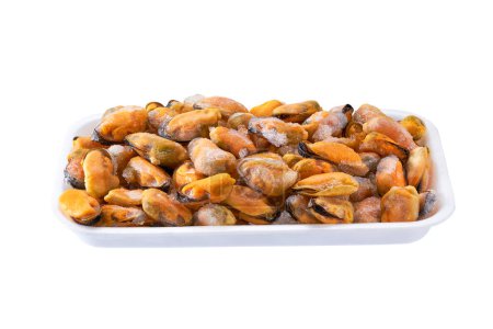 Photo for Mussel meat  in a styrofoam food container with ice as an ingredient in omega-3 protein. - Royalty Free Image