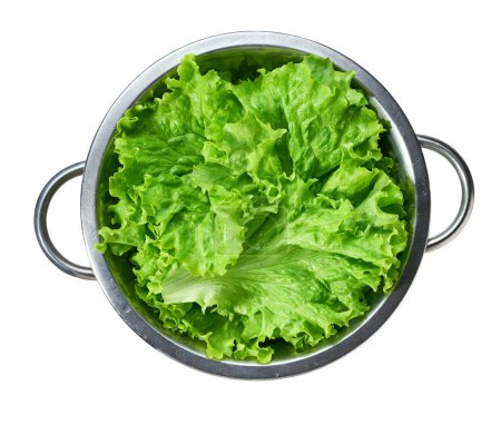 Photo for Colander with fresh lettuce isolated on white background. Top view. - Royalty Free Image