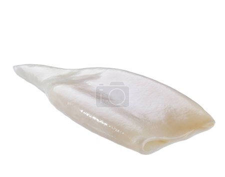 Photo for Fresh raw squids . Squid tubes  isolated on white background. Fresh raw squid or cuttlefish fillet isolated on white background. - Royalty Free Image